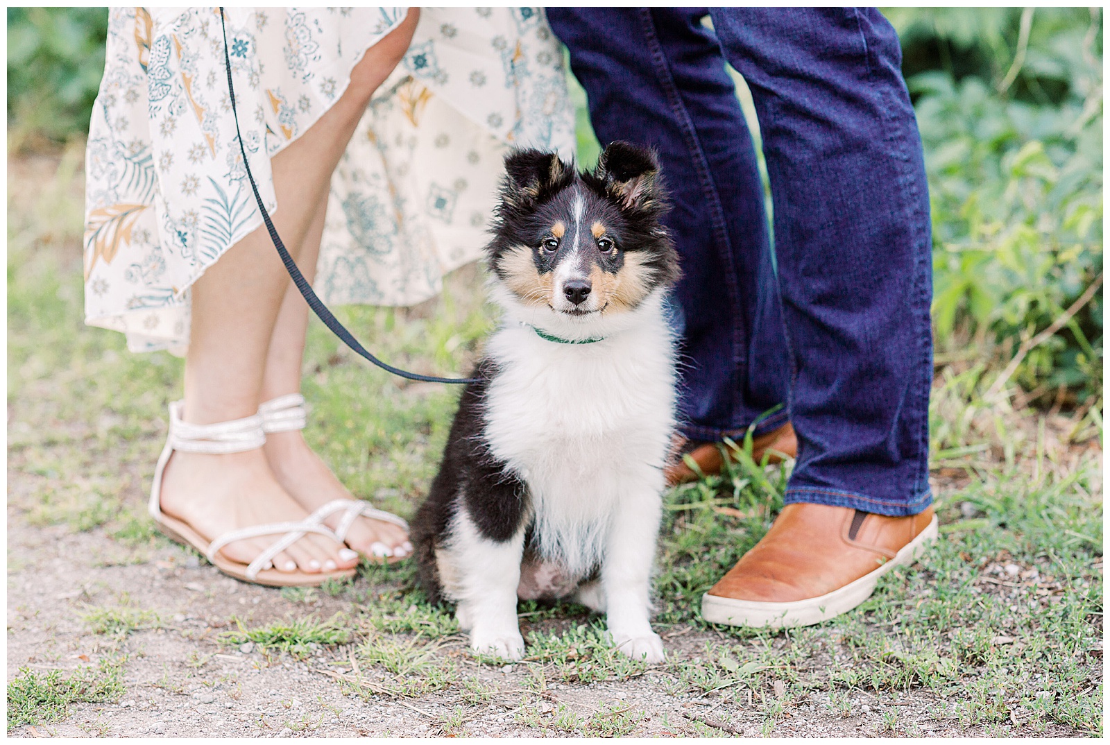 Scotsdale Farm Family Session Puppy